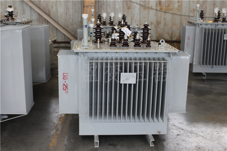 绵阳S20-800kVA/10kV/0.4kV变压器